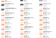 AK私教录音-恋爱虎