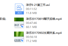 2017年《洋仔私教》-恋爱虎