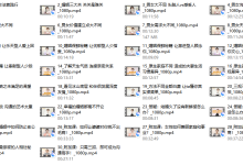 幸福女人逆袭成长特训营（终身版）-恋爱虎