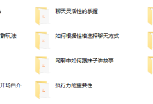 n团挽回课程-恋爱虎