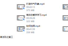 最新浪迹3.0私教时代 大鹏私教-恋爱虎