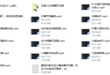 富饶《外卖方法2.0》-恋爱虎