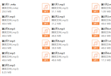 2017年爱情光谱线下培训精英联盟-恋爱虎