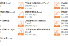 浪迹蓉城计划完整线下录音-恋爱虎