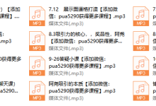 2017年《迷宫导师私教》-恋爱虎