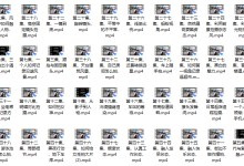 发麻摄影第二期（完结）-恋爱虎