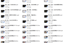 旭旭私教3.0-恋爱虎