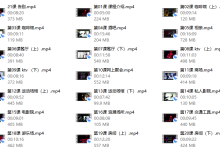 摩卡情感之白鸭《约会高手》-恋爱虎