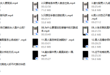 男人的阴暗面（音频课）16节-恋爱虎