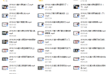 麦坤私教3.0-恋爱虎