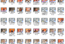 技巧软功-恋爱虎