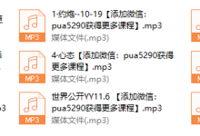 2017年世界私教精品课-恋爱虎