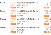 绅士派《武汉计划3天2夜》-恋爱虎