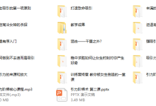 文骁私教引力阶梯-恋爱虎