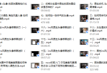 鸭哥——普通人打造明星质感照片-恋爱虎