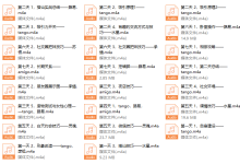 丽江计划第12期现场录音-恋爱虎