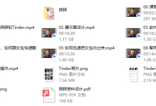 瑞恩网约x-恋爱虎