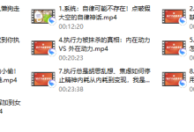 社交光谱莱特Light《执行力能量系统》无尽的执行和自律能量-恋爱虎