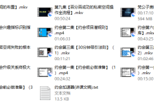 时代最强约会课-恋爱虎