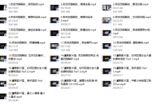 AMG《纵横四海》-恋爱虎