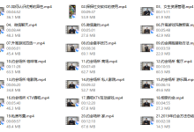 小鲸恋爱班《约会高手》-恋爱虎