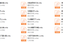 浪迹最新蓉城计划完整线下录音-恋爱虎