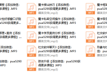 魔卡北京面授课录音-恋爱虎