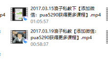 2017年浪子私教-恋爱虎
