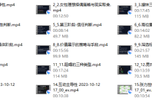 Leon5.0-恋爱虎