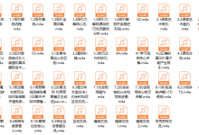 PUANEY倪6000线下课程-恋爱虎