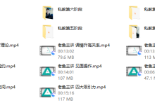 老鱼私教-恋爱虎