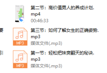 本色团队中级班-恋爱虎