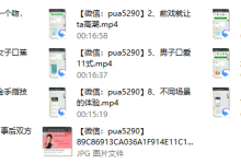 xingai大师私教课-恋爱虎