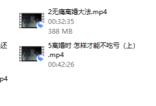 无痛离婚法-恋爱虎