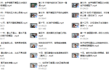 七分学堂撩道2.0-恋爱虎
