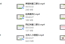 乌鸦救赎-六神 实战报告-恋爱虎