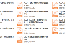 Chic颠覆认知的职场快速进化论。-恋爱虎