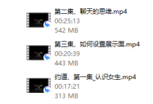 2016年浪迹教育《承情约道》-恋爱虎