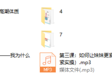大师X课程-里面有男-女(两套)-恋爱虎