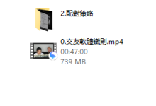 AMG《一級玩家》-恋爱虎