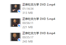 泰勒基础与高级游戏RSD-恋爱虎