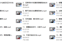 七分学堂撩道-恋爱虎