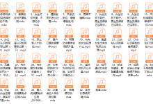 老吴聊天研究所-恋爱虎