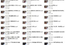 CAC 4.0(无水印)-恋爱虎