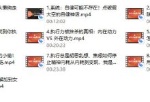 莱特《执行力能量系统》无尽的执行和自律能量-恋爱虎