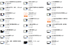 大橙《脱单必修1.0》-恋爱虎