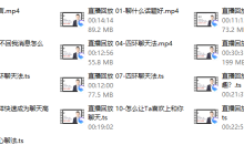 麦坤《恋爱脱单聊天课》-恋爱虎