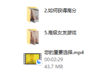 麦克斯 《女朋友游戏》(关系管理)-恋爱虎