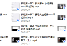 夜的第一章-恋爱虎