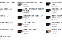麦迪森 BOSS-恋爱虎